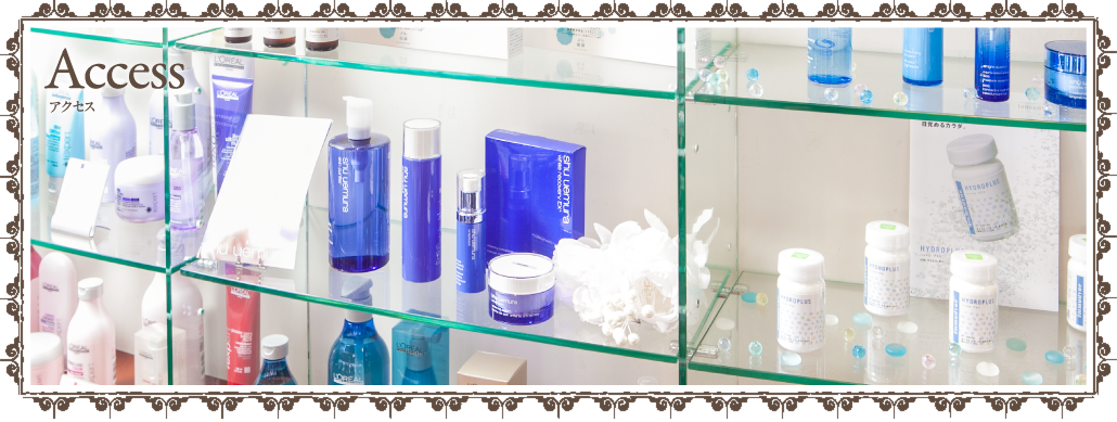 Access アクセス