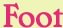 Foot