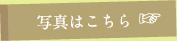 写真はこちら
