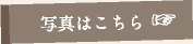 写真はこちら