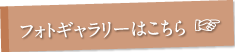 フォトギャラリーはこちら