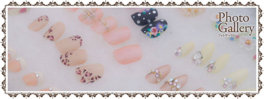 Photo Gallery フォトギャラリー