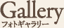 Gallery フォトギャラリー