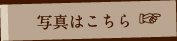 写真はこちら