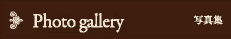 Photo gallery 写真集