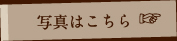 写真はこちら